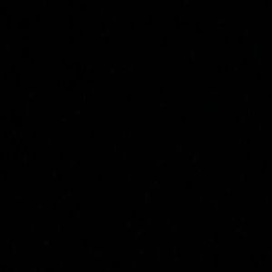 Meet your Posher, Ryder